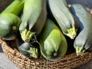 basket full of huge zucchini