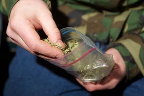 A law legalizing the recreational use of marijuana took effect on Dec. 6, 2012 in Seattle, Wash. Want to learn more? Check out these controlled substance pictures.