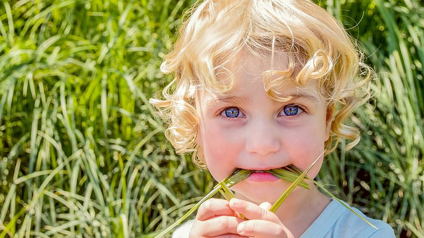 girl eating grass