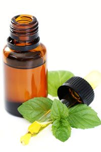 Need help with your concentration? A whiff of peppermint oil could improve your focus and cognitive performance.