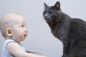 Cats get a bad rap. Yes, you need to keep an eye on them around babies, but no more than any other animal. (Actually, less than most others.)